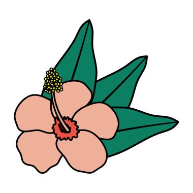 Yaprak bahçeli egzotik ve tropik bir çiçek.