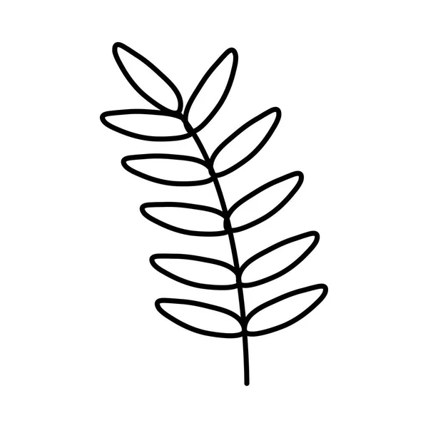 Εξωτικά και τροπικά φύλλα φυτών — Διανυσματικό Αρχείο