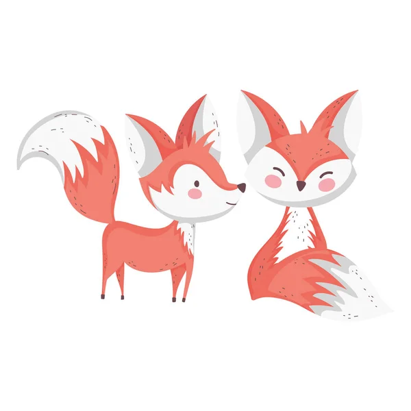 Cute foxes cartoon animals on white background - Stok Vektor