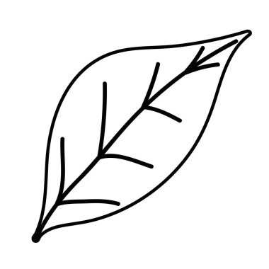 İzole edilmiş yaprak vektör tasarımı çizimi