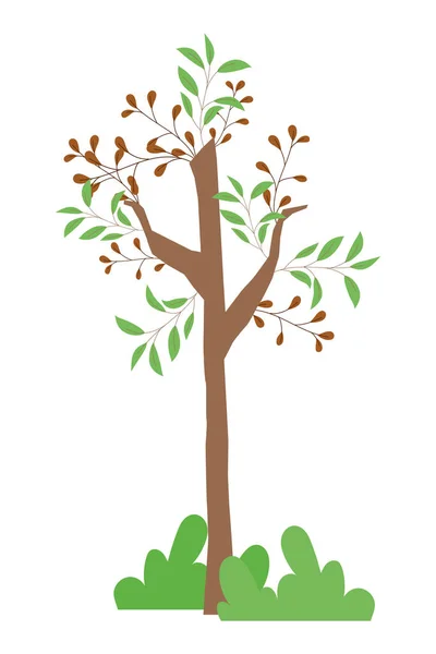 分離された抽象および季節の木の設計ベクトルのイラスト — ストックベクタ