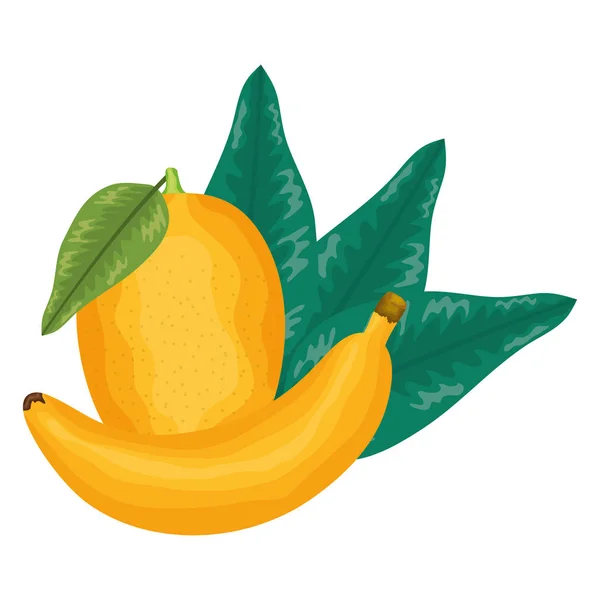 Banana fresca e manga frutas — Vetor de Stock