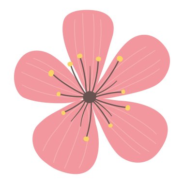 İzole edilmiş kır çiçeği vektör tasarımı