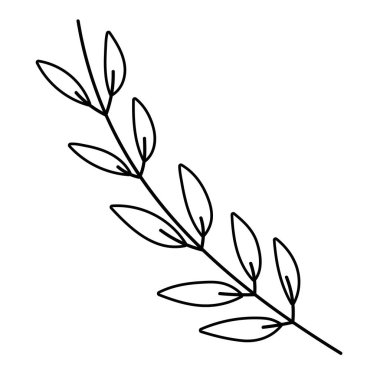 İzole yaprak tasarım vektör illüstrasyon