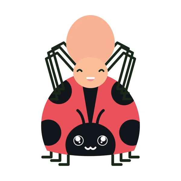 Kis pók és katicabogár rovarok kawaii karakterek — Stock Vector