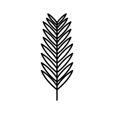 egzotik ve tropikal yaprak bitki