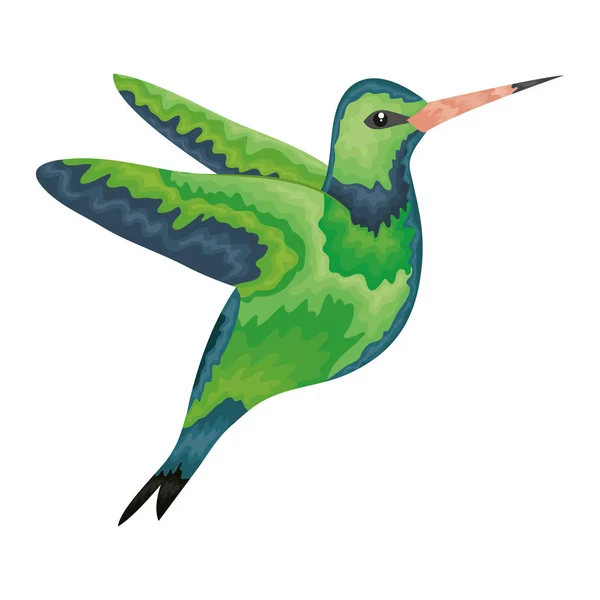 Hummingbird whit flowers vector illustration — Stok Vektör