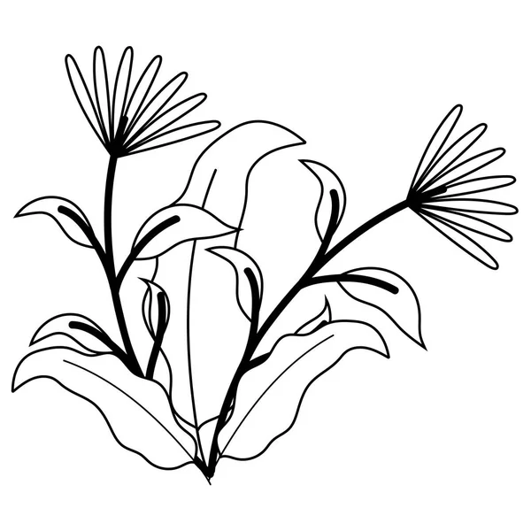 Izolowane kwiaty ozdoba projekt wektor ilustracja — Wektor stockowy