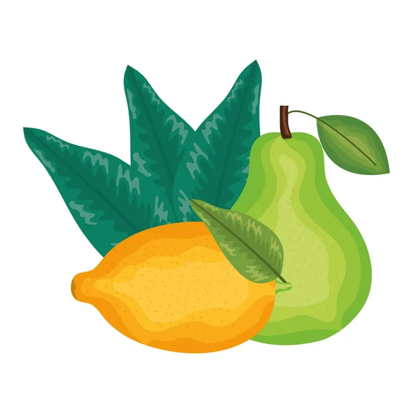 Fresh pear and lemon fruits — Vetor de Stock