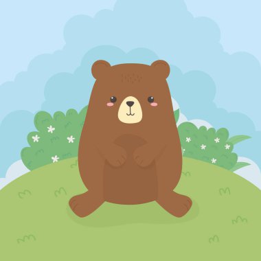 cute bear teddy wild character