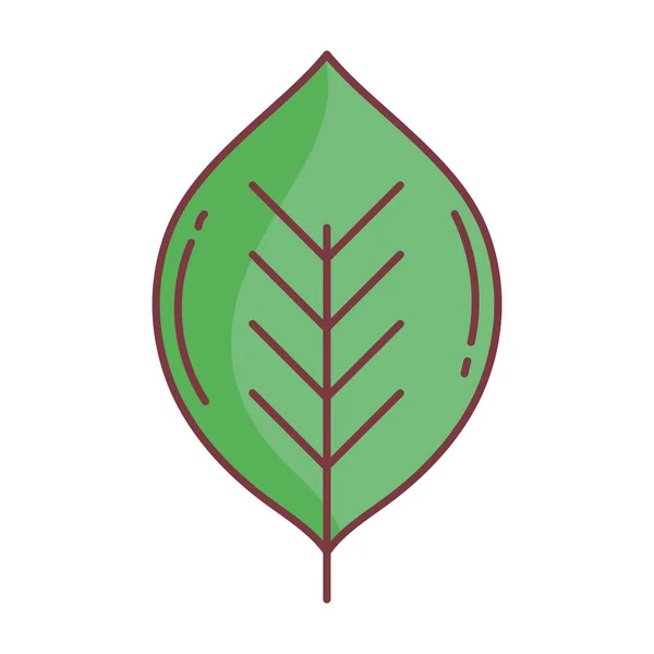 Green leaf hello autumn design icon — Stock Vector