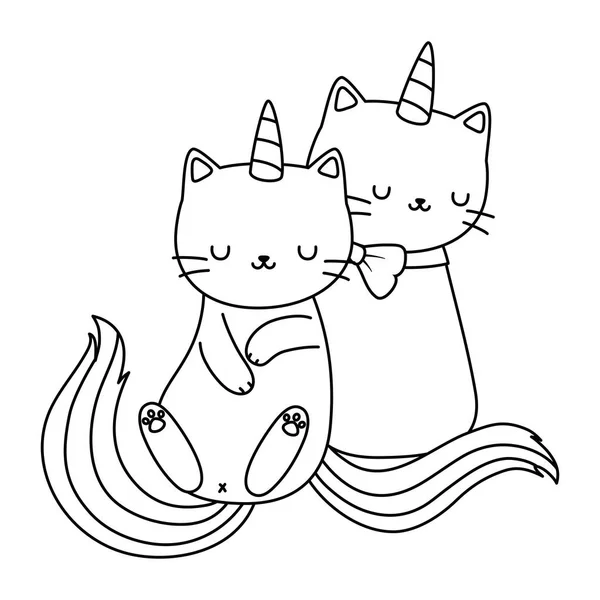 Unicorn cat cartoon couple vector design — Stock Vector
