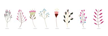 floral flowers branch herbs botanical set