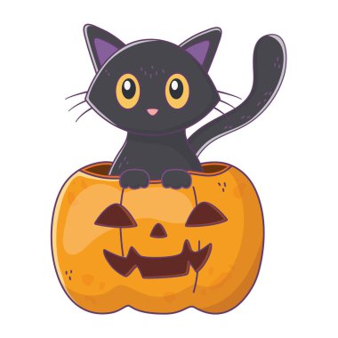 hile veya tedavi - mutlu cadılar bayramı