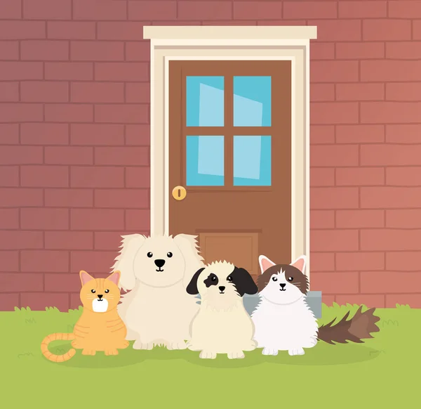 Dogs and cats sitting outside house pet care — Vetor de Stock