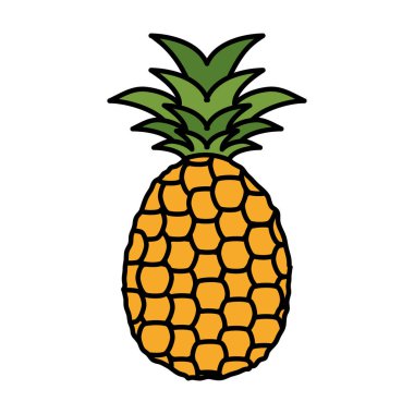 taze ananas meyvesi doğa simgesi