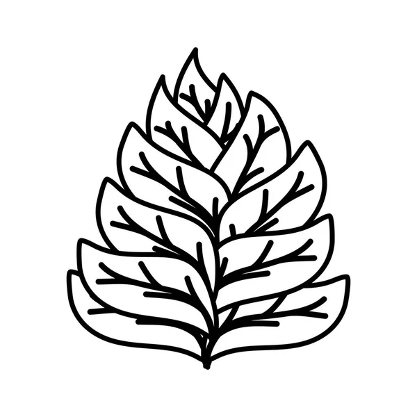 Frunze plante gradina natura icon — Vector de stoc