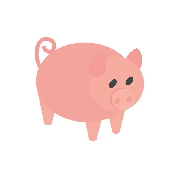 Bauernhof Schwein Tier Haustier ländliche isometrische Symbol — Stockvektor