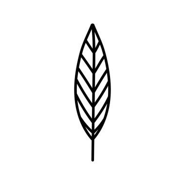 leaf foliage botanical nature icon design thick line