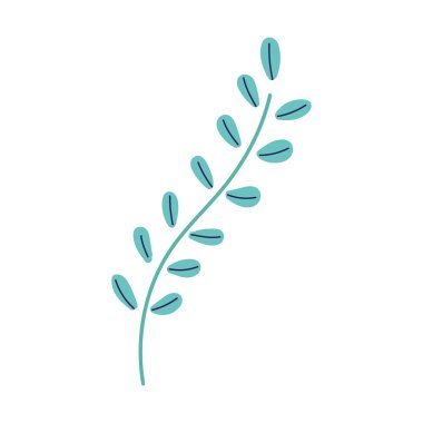 botanical ecology branch leaves foliage decoration