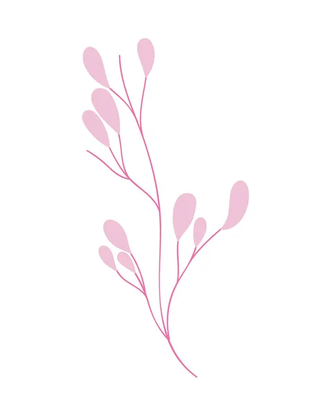 Pink ecology branch leaves foliage decoration — Stock Vector