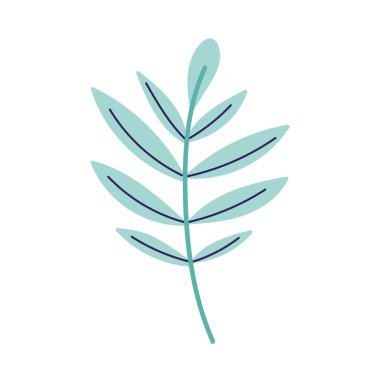 botanical ecology branch leaves foliage decoration