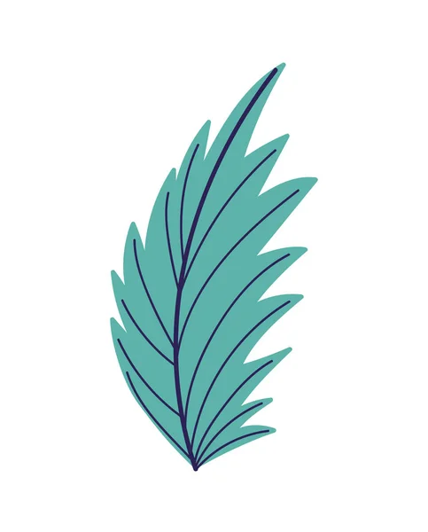 Palm leaf foliage nature decoration icon — Stock Vector