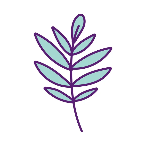 Botanical ecology branch leaves foliage decoration — Stockvektor