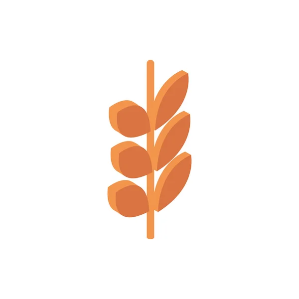 Farm wheat harvest agriculture isometric icon — Stock Vector