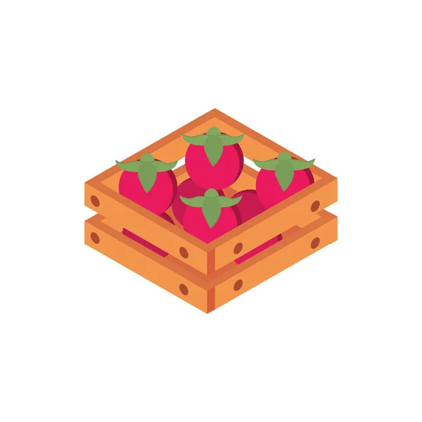 Farm Tomaten in Box Ernte Landwirtschaft isometrisches Symbol — Stockvektor