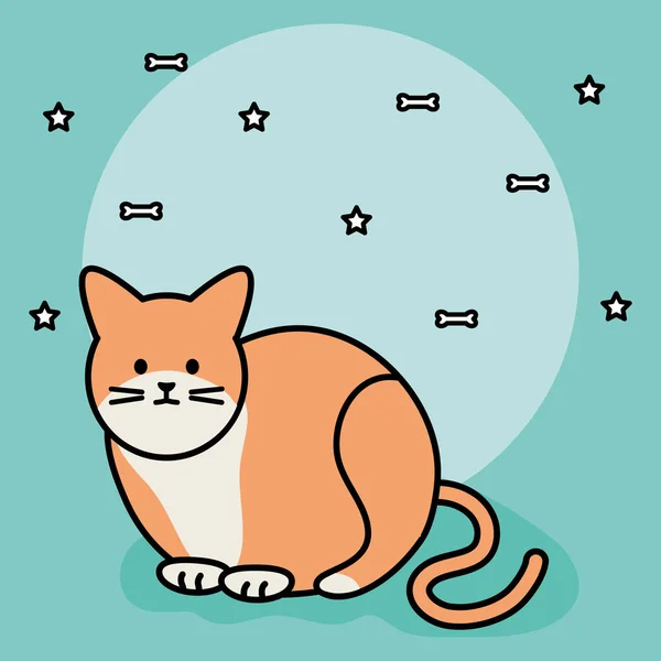 Aranyos macska kabalája imádnivaló karakter — Stock Vector