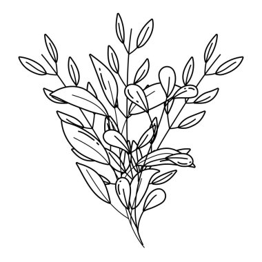 İzole yaprakları tasarım vektör illüstrasyon