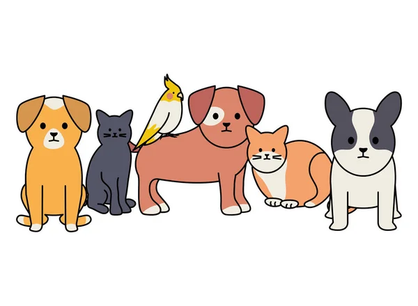 Lindo grupo de mascotas adorables personajes — Archivo Imágenes Vectoriales