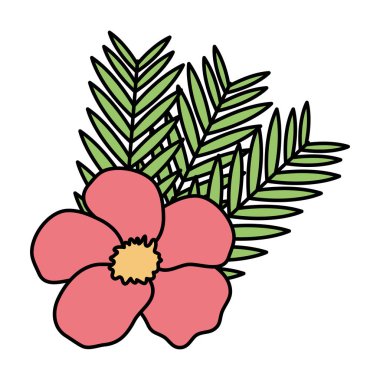 Yaprak bahçeli egzotik ve tropik bir çiçek.