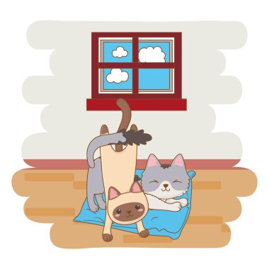 vektör Illustrator vector Illustrator vektör