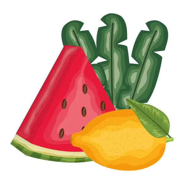 Frische Wassermelone und Zitronenfrüchte — Stockvektor