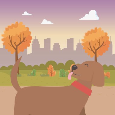 Köpek karikatür tasarım vector Illustrator