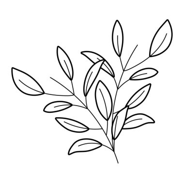 İzole yaprak tasarım vektör illüstrasyon