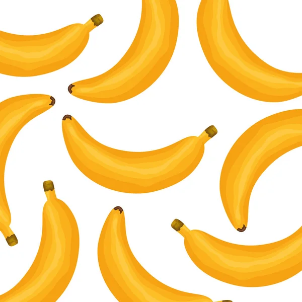 Modelo de cultivo de plátanos frescos — Vector de stock