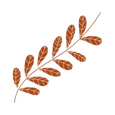 İzole edilmiş yapraklar vektör tasarım çizimi
