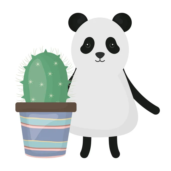 Lindo oso panda con cactus exótico en maceta de cerámica — Vector de stock