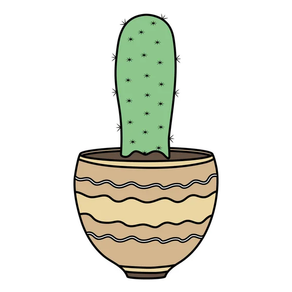 Tanaman kaktus eksotis dalam pot keramik - Stok Vektor