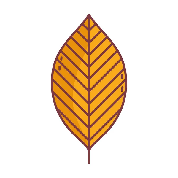 Yaprak merhaba sonbahar tasarım simgesi — Stok Vektör