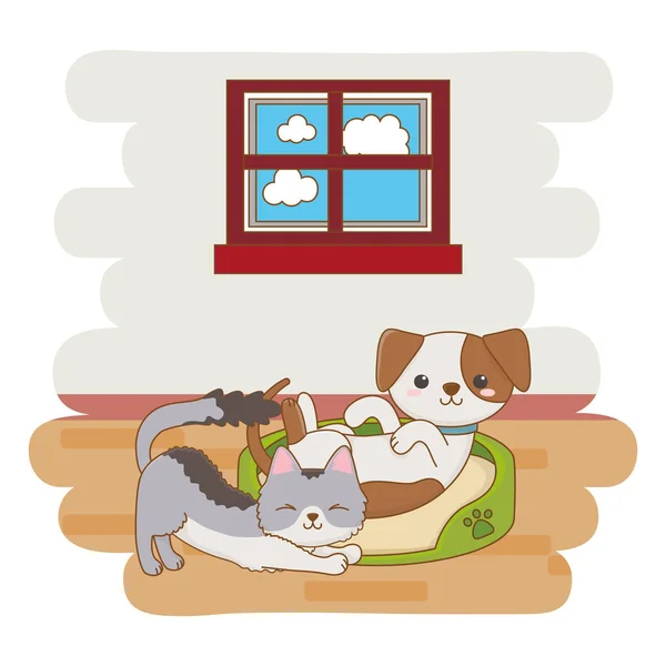 Desenho de desenhos animados para cães e gatos — Vetor de Stock