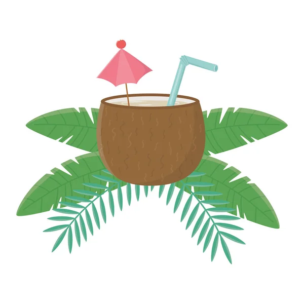 Isolated coconut cocktail design vector illustration — Stock Vector