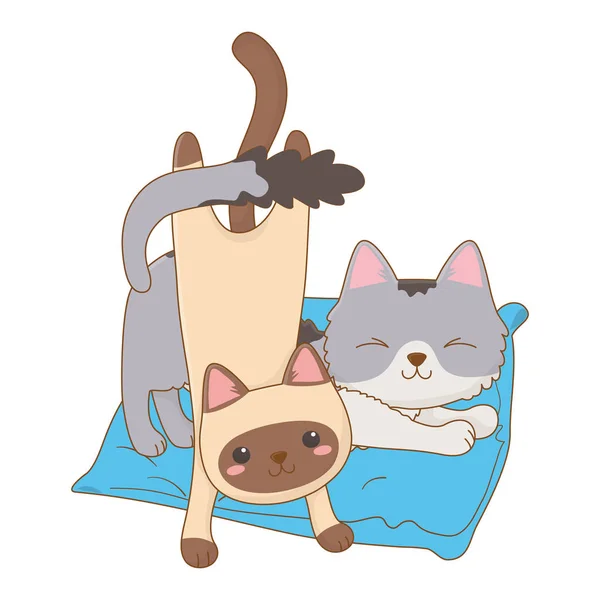 Isolé chats dessins animés design vectoriel illustrateur — Image vectorielle