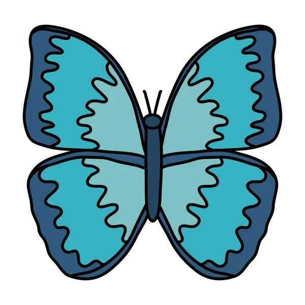 Natureza borboleta desing ilustração vetorial — Vetor de Stock