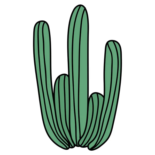 Exotique cactus plante icône naturelle — Image vectorielle