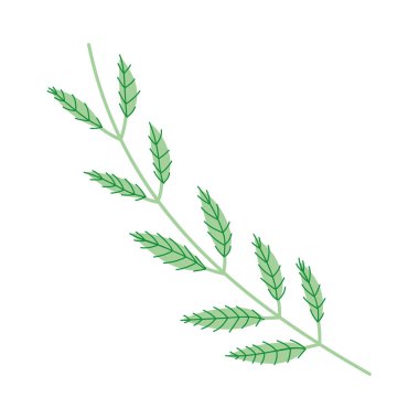 İzole yaprak tasarım vektör illüstrasyon