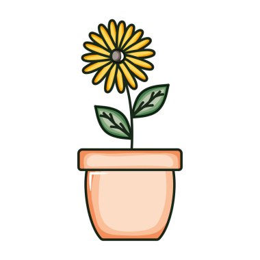 Seramik kapta yaprakları olan güzel ayçiçeği.